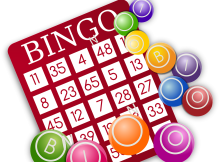 beginners guide to bingo