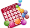 beginners guide to bingo