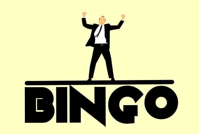 bingo vip